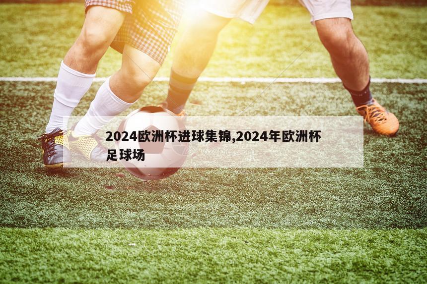 2024欧洲杯进球集锦,2024年欧洲杯足球场
