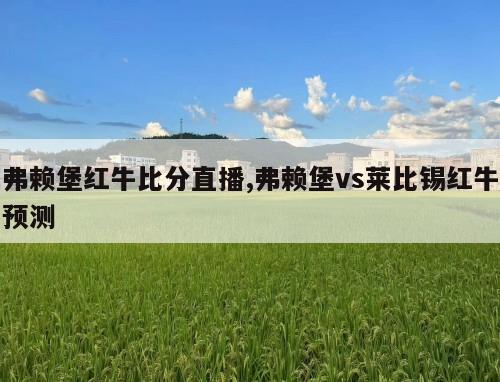 弗赖堡红牛比分直播,弗赖堡vs莱比锡红牛预测