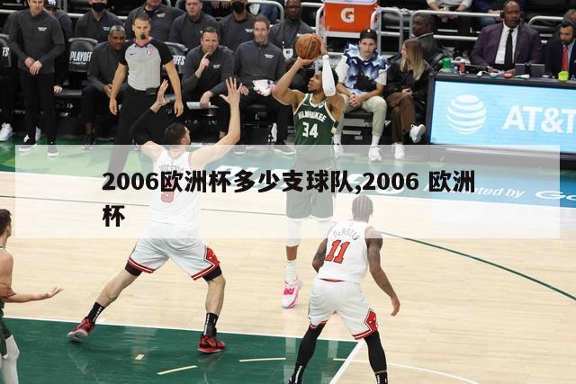 2006欧洲杯多少支球队,2006 欧洲杯