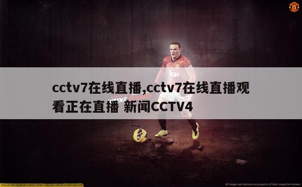 cctv7在线直播,cctv7在线直播观看正在直播 新闻CCTV4