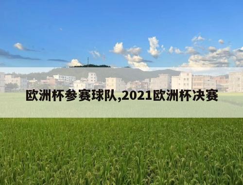 欧洲杯参赛球队,2021欧洲杯决赛