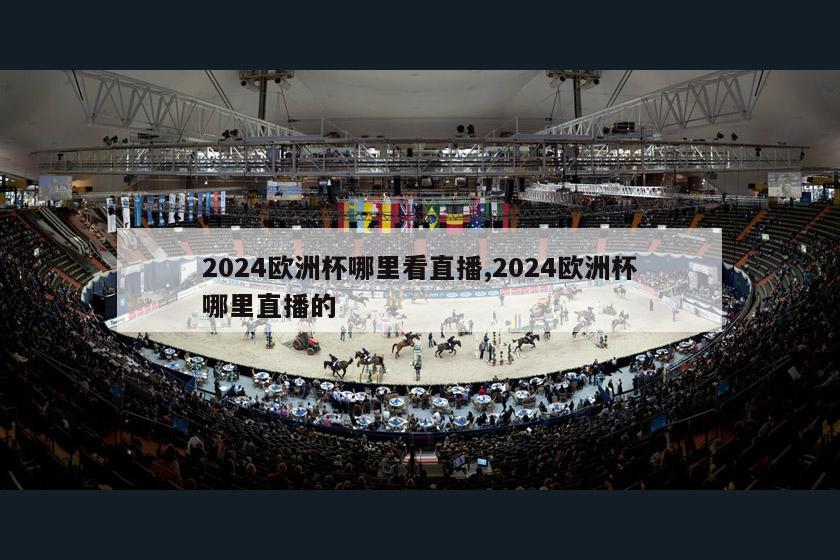 2024欧洲杯哪里看直播,2024欧洲杯哪里直播的