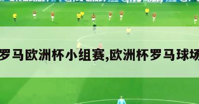 罗马欧洲杯小组赛,欧洲杯罗马球场