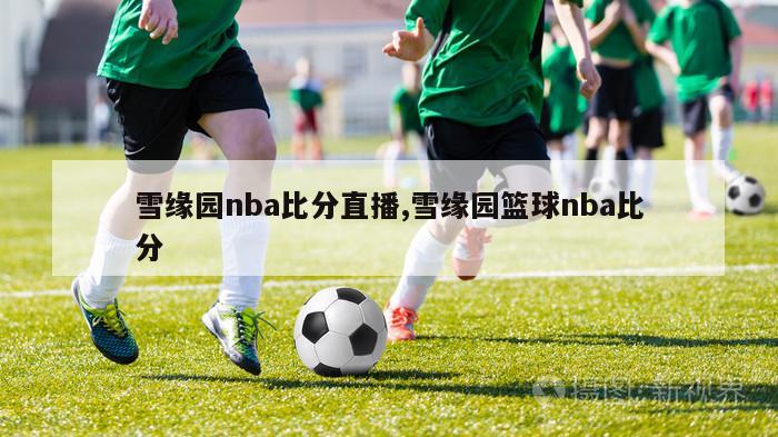 雪缘园nba比分直播,雪缘园篮球nba比分