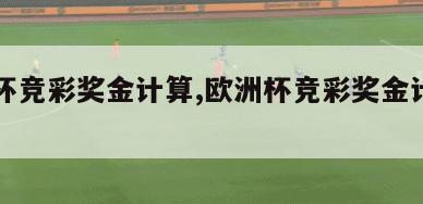 欧洲杯竞彩奖金计算,欧洲杯竞彩奖金计算方法