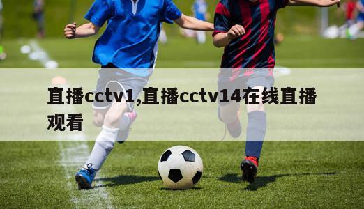 直播cctv1,直播cctv14在线直播观看