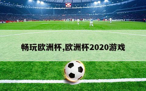 畅玩欧洲杯,欧洲杯2020游戏