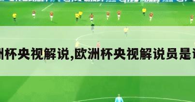 欧洲杯央视解说,欧洲杯央视解说员是谁啊