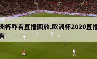 欧洲杯咋看直播回放,欧洲杯2020直播怎么看