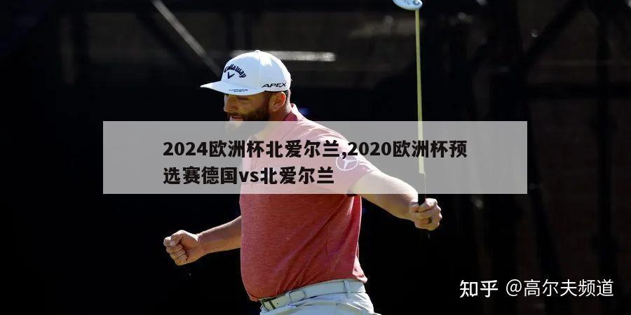 2024欧洲杯北爱尔兰,2020欧洲杯预选赛德国vs北爱尔兰