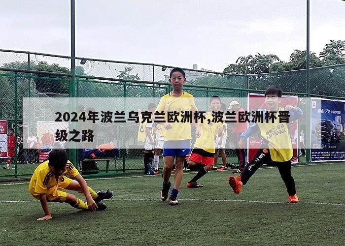 2024年波兰乌克兰欧洲杯,波兰欧洲杯晋级之路