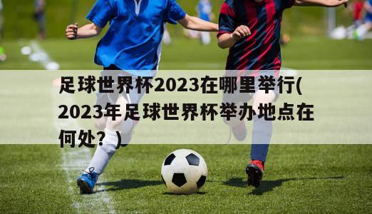 足球世界杯2023在哪里举行(2023年足球世界杯举办地点在何处？)